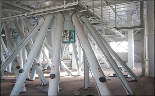 飼料生產(chǎn)線 飼料生產(chǎn)線